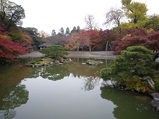 Kyoto imperial garden in November